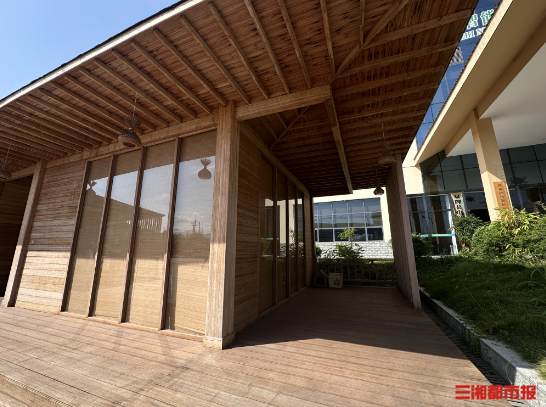 “以竹代塑”助力实现双碳目标湖南竹产业迎发展新机遇(图3)