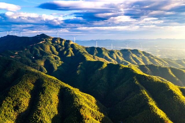 Kaiyun体育网站：“以竹代塑”新风口湖南竹产业迎来发展新机遇(图2)