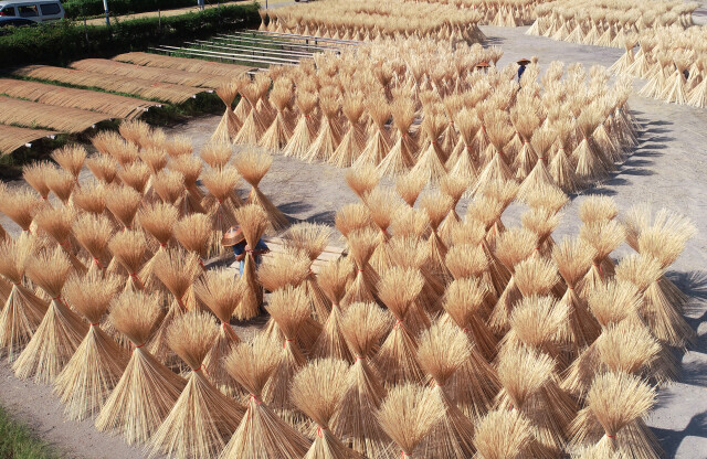 Kaiyun体育网站：“以竹代塑”新风口湖南竹产业迎来发展新机遇(图3)