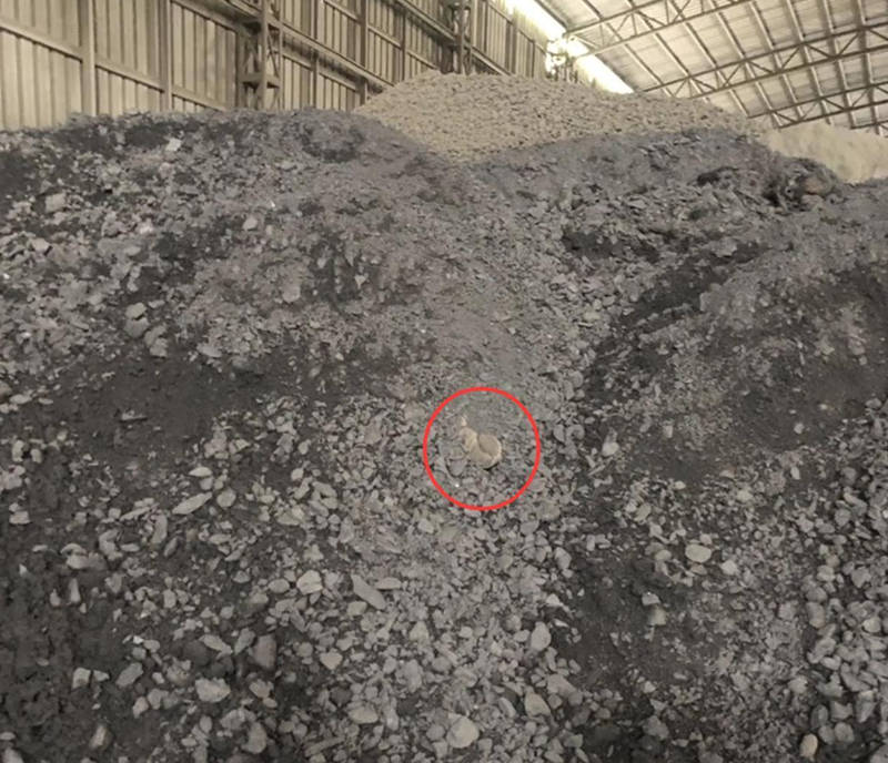 广西男子查看破碎机配件不幸身亡！砂石安全问题不容忽视！(图2)