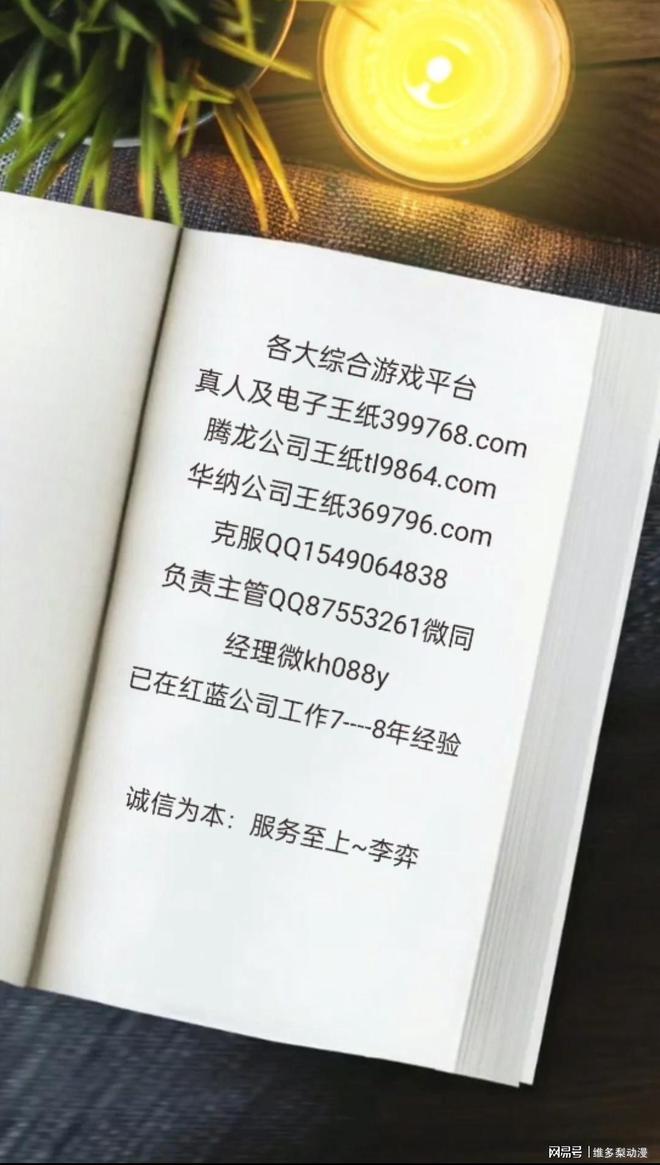 澳门有哪些公司？(图1)