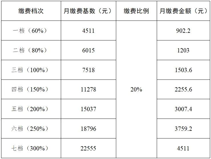 2024成都社保缴费标准（单位+个人）(图2)