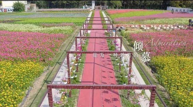 尚湾林语售楼处2024网站-尚湾林语售楼处电话-楼盘详情(图6)