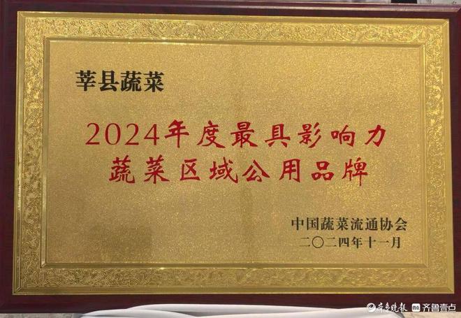 “莘县蔬菜”获评2024年度中国最具影响力蔬菜区域公用品牌(图2)