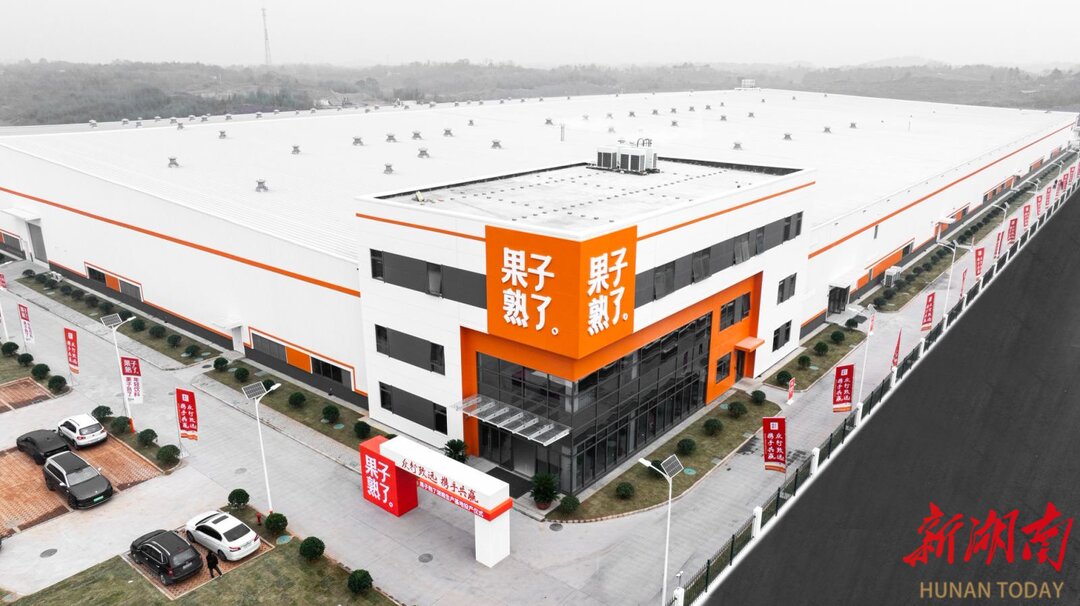 果子熟了全国首个自建工厂在株投产(图2)