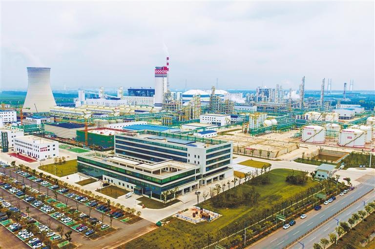 产业提质创新赋能（组图）(图4)