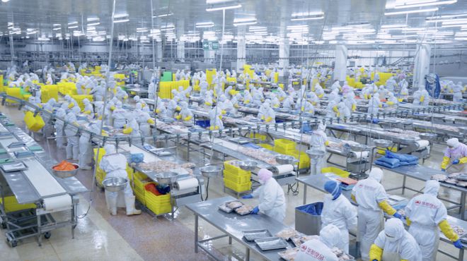 华都与大农亿级合作：双赢典范缘何双输(图2)