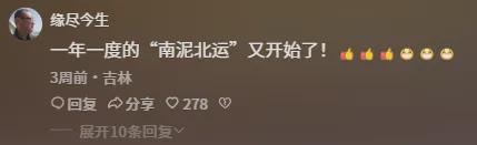 Kaiyun（中国体育）：尔滨网红洗浴中心爆满！搓澡师傅：两天两夜没睡搓澡巾搓冒烟儿(图4)