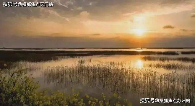 上实和风院(售楼处)首页网站-2025上实和风院售楼处欢迎您(图16)