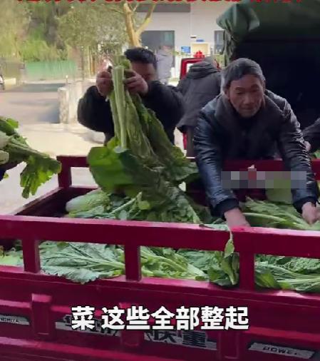 Kaiyun体育网站：运送物资的摩托大军、自发送菜做饭的村民四川力量再次感动中国(图3)
