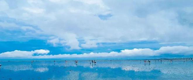 上实听海(售楼处)网站-上实听海-2025新首页欢迎您-楼盘百科(图12)