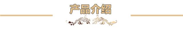 捏合机不锈钢捏合机碳素硅橡胶(图2)