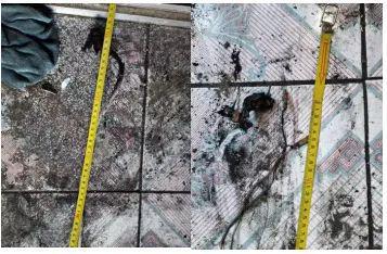 Kaiyun（中国体育）：居民火灾亡2人调查组请示县政府同意决定不追责社区、派出所(图6)