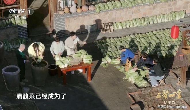 从表演到体验从展示到感受马凡舒主持美食节目越来越接地气了(图6)