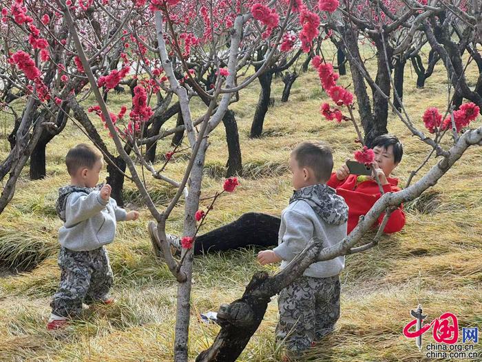 北京朝阳花园节启幕北小河公园举办春日狂欢游园活动(图3)