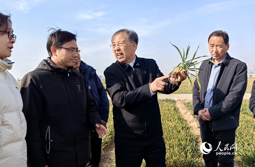 茹振钢代表：让两粒“种子”在乡村振兴的土壤中生根发芽(图3)