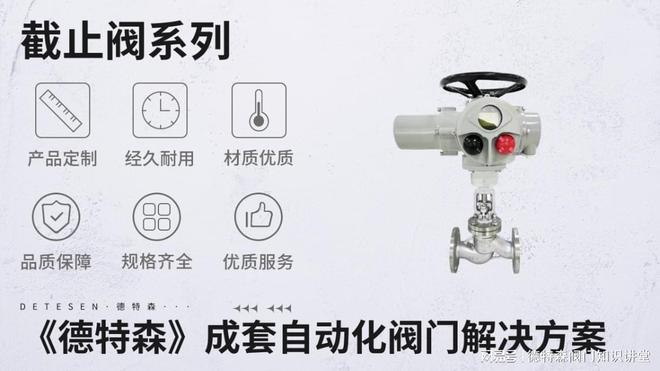 电动法兰截止阀针对不同市场参与者(图1)