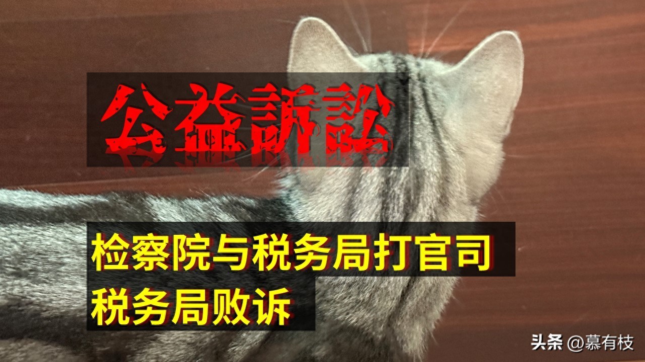 Kaiyun（中国体育）：检察院与税务局打官司税务局败诉(图1)