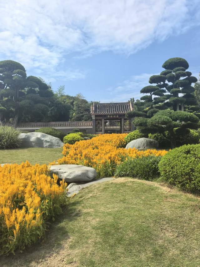 Kaiyun（中国体育）：南宁园博园矿坑生态修复：从“生态疤痕”到城市绿洲(图2)