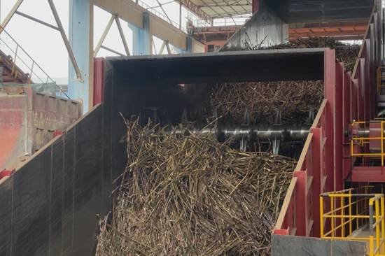 Kaiyun体育网站：横州：甘蔗榨季开启“甜蜜事业”提质升级迎丰收(图1)