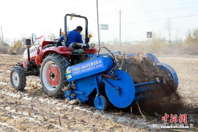 农田废弃物变实用建材甘肃民勤戈壁农业破解“白色污染”困局(图1)