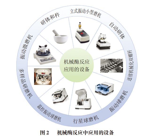 Kaiyun体育网站：《食品科学》：哈尔滨商业大学辛嘉英教授等：机械酶学在食品加工应用中的研究进展(图2)