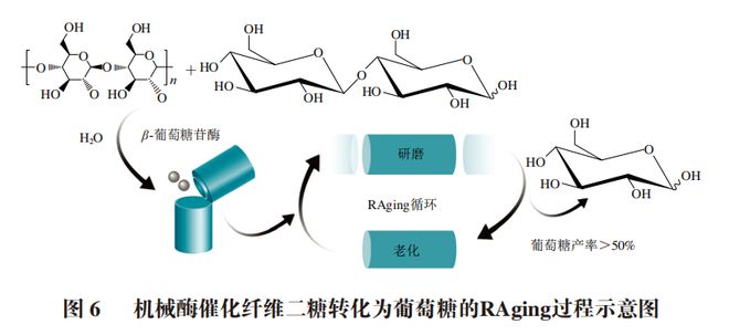 Kaiyun体育网站：《食品科学》：哈尔滨商业大学辛嘉英教授等：机械酶学在食品加工应用中的研究进展(图11)