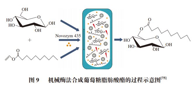 Kaiyun体育网站：《食品科学》：哈尔滨商业大学辛嘉英教授等：机械酶学在食品加工应用中的研究进展(图17)